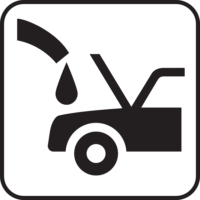 Oil