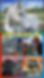 Thumbnail: Pet Portrait- Horses, Cats, & Dogs