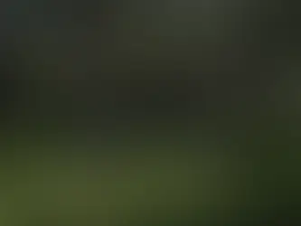 The Changing Rhythm of the Trail: How the EMTB Is Redefining Mountain Biking in Australia