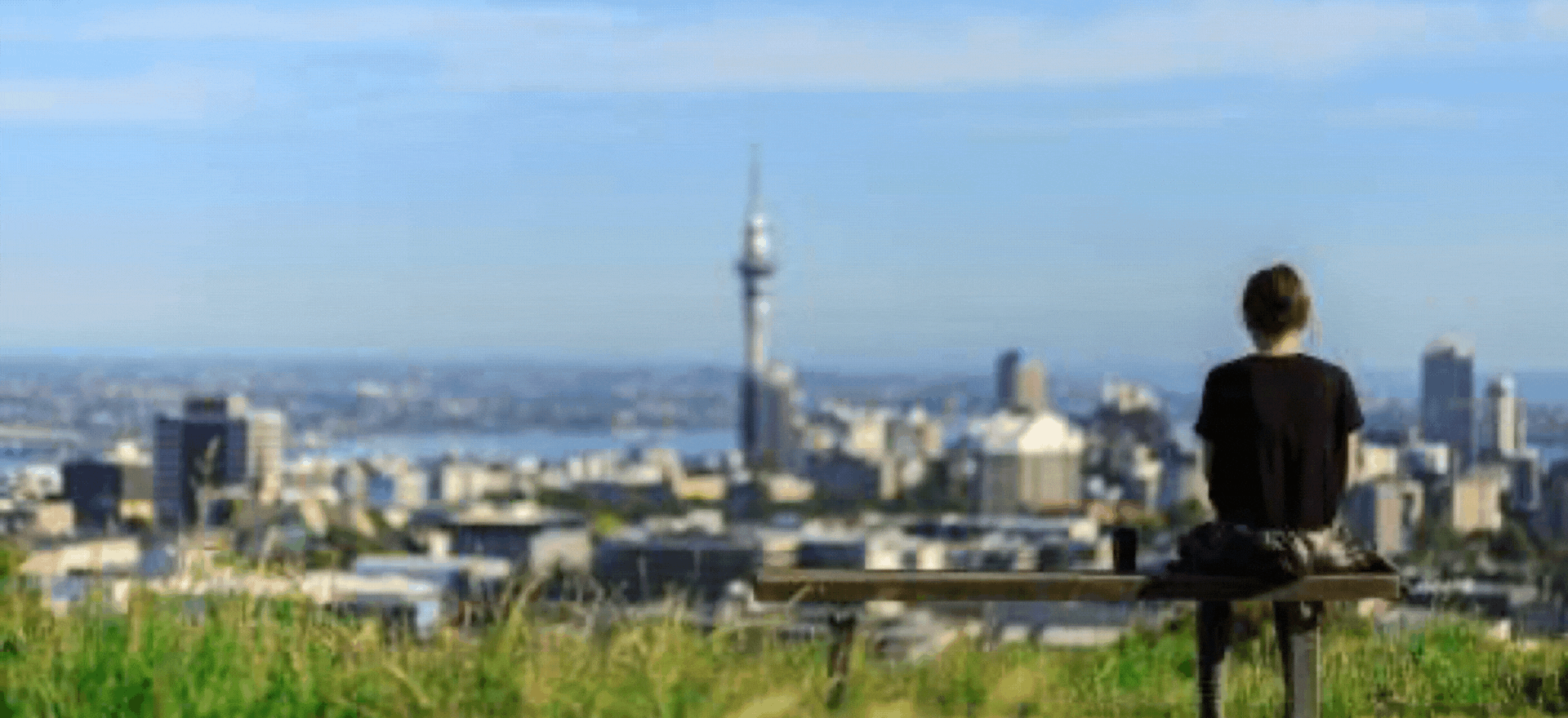 PSV NZ Gif.gif
