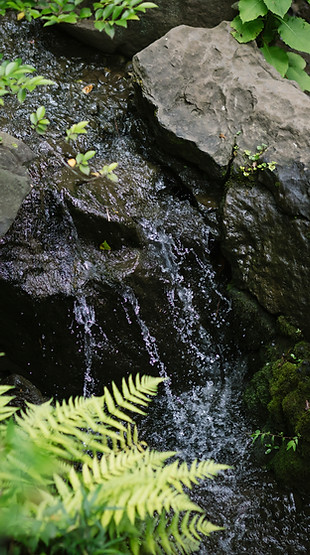 0606-354.jpg