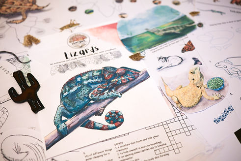 Lizards Homeschool Printables Hand Drawn.jpg