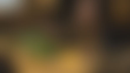 Revitalize Your Relationship with Food: A 5-Step Guide to a Healthier You in the New Year