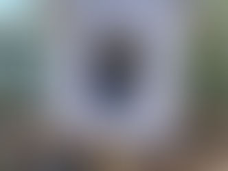 Draft Statement #4: Housing & Affordability