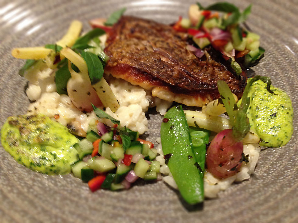 Sea Bass