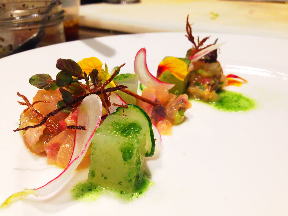 Spanish mackerel