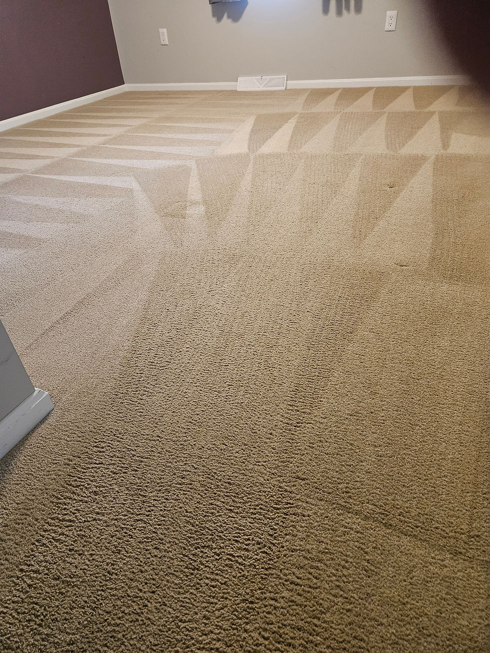 carpet cleaning in a bedroom