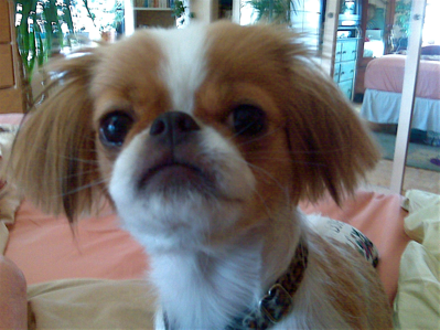 Ginger- My Most Favorite Thiing