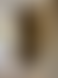 Szafa z lustrami w przedpokoju