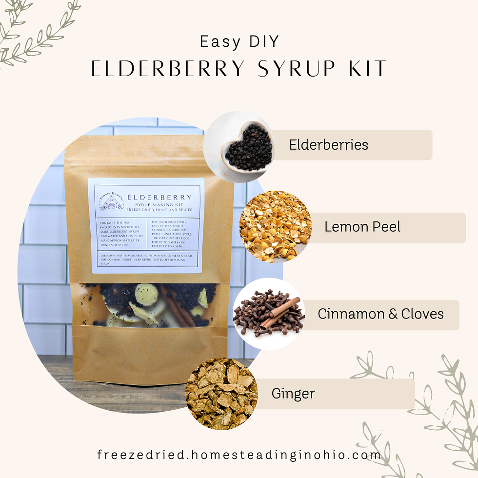 DIY elderberry syrup kit with elderberries and warming spices