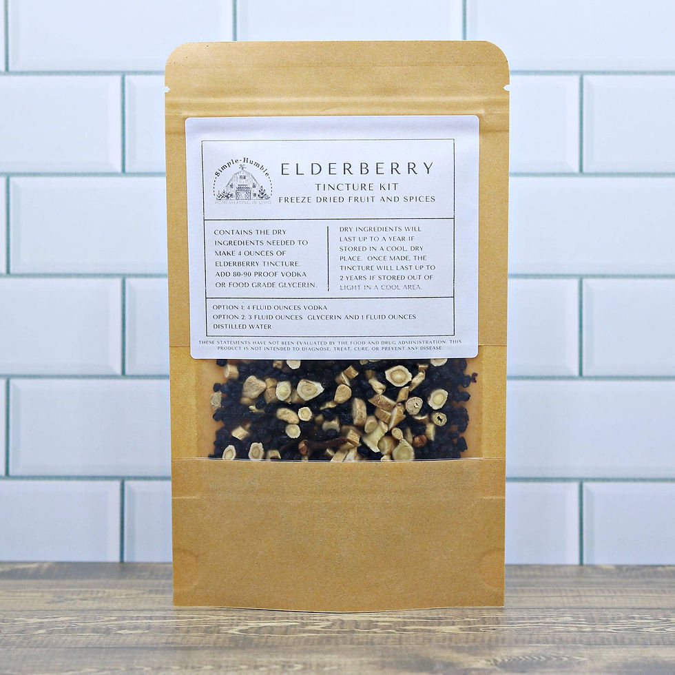 DIY elderberry herbal tincture kit with astragalus, cloves and ginger