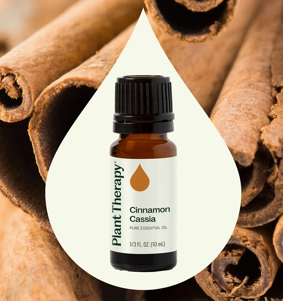 Plant Therapy Cinnamon Cassia Essential Oil 10 mL