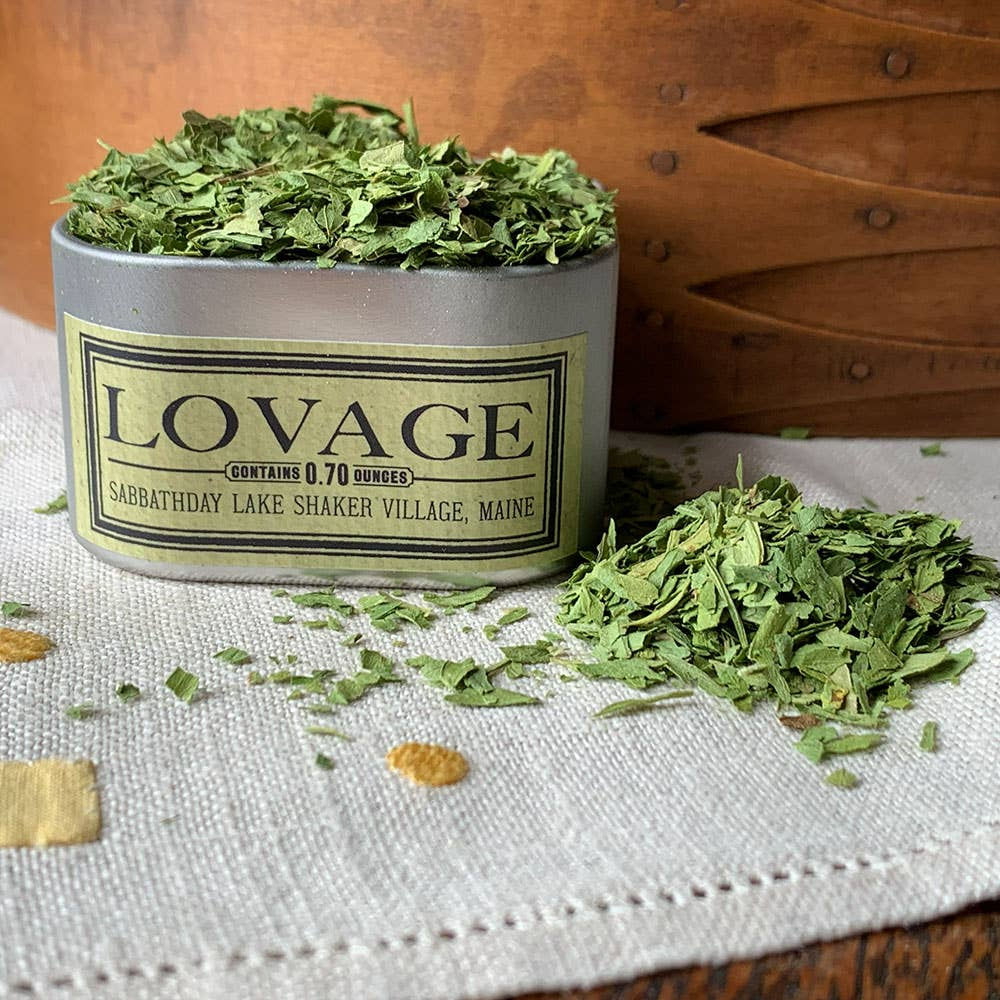 Lovage culinary herb by United Society of Shakers