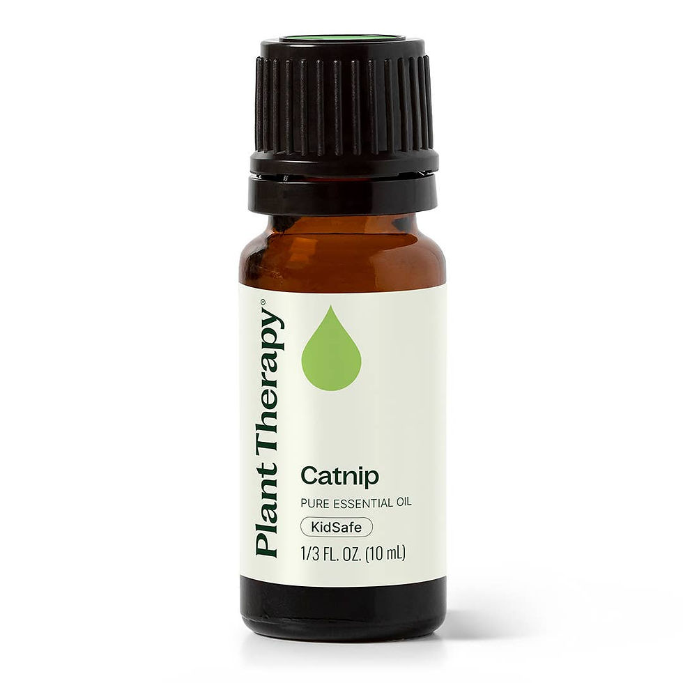 Plant Therapy Catnip Essential Oil 10 mL