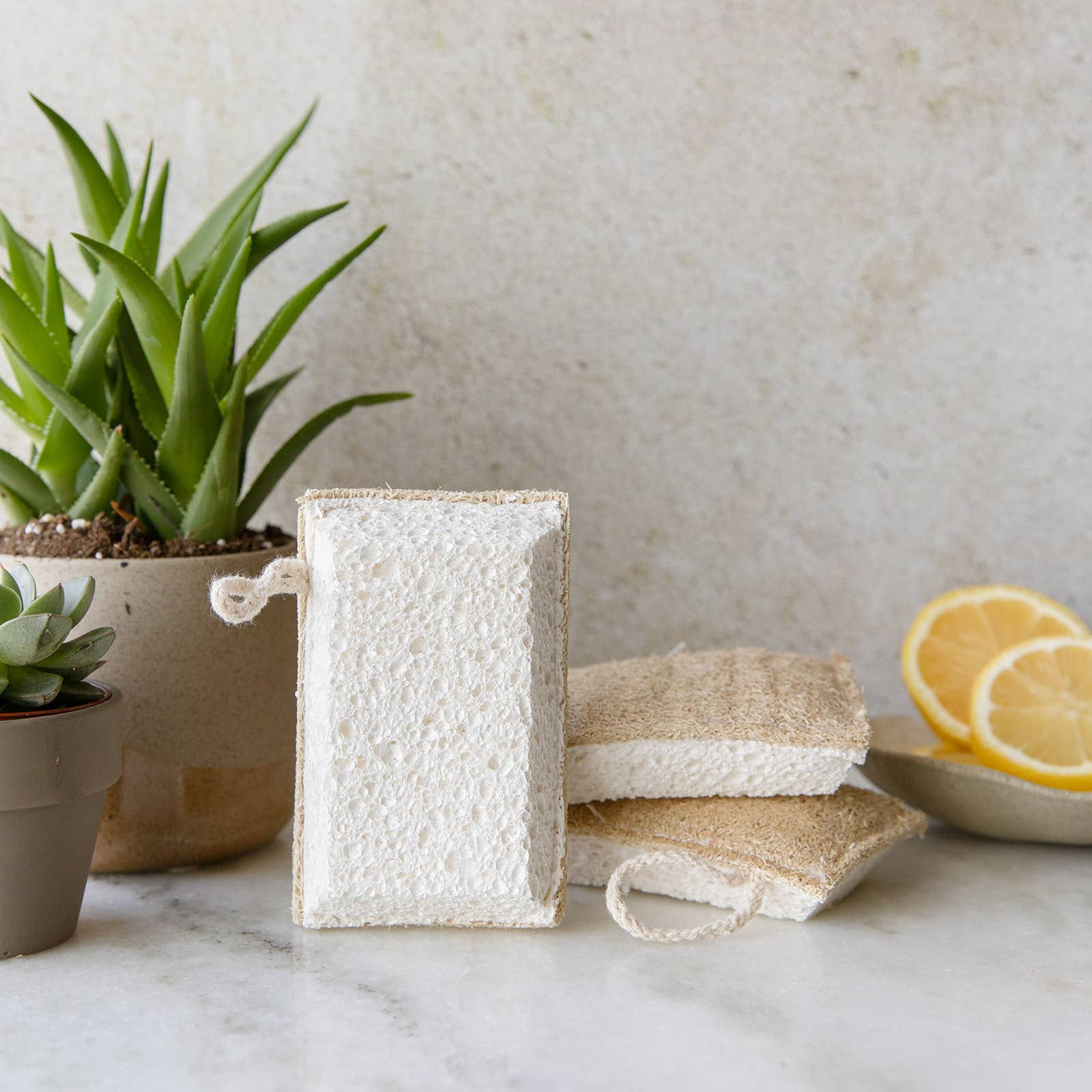 Earth Ahead loofah and cellulose cleaning sponge two-pack