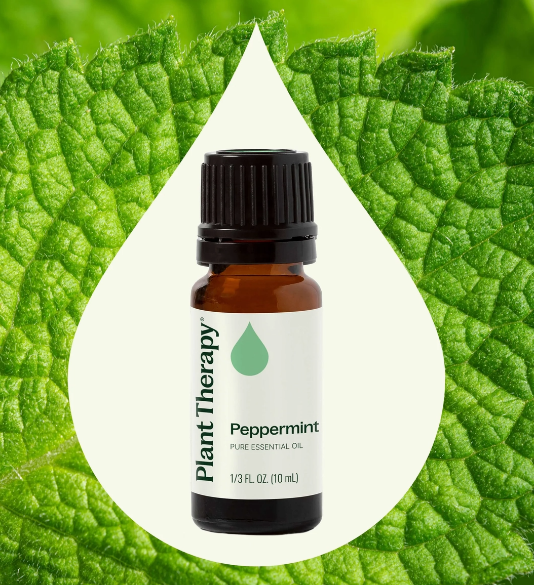 Plant Therapy Peppermint Essential Oil 10 mL