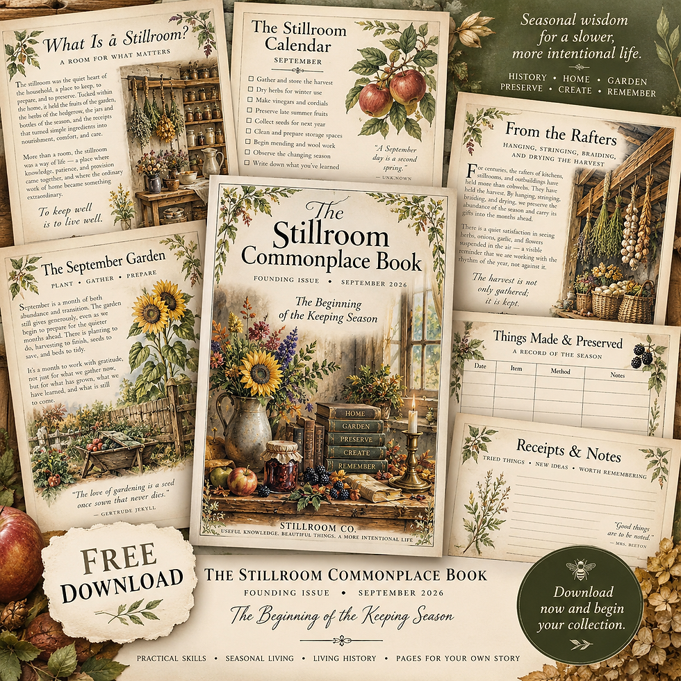 Stillroom Commonplace Book September 2026 founding issue cover