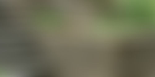 Landscape Renovation vs New Installation: What’s Right for You?