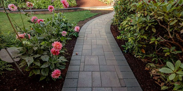 Best Native Plants for Olympia Landscape Design