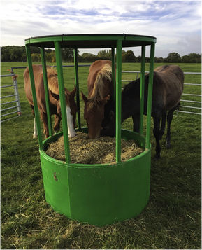STARCH VS FIBRE - AN EXPERIMENT ON FOALS