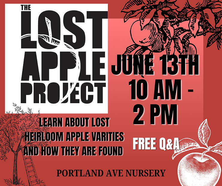 LOST APPLE.png