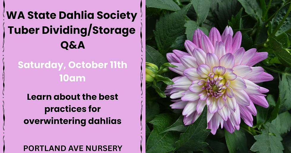 Dahlia Tuber Sale 2025.jpg