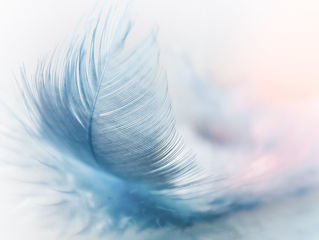 Un soin relaxant à partir d’un massage à la plume vous tente-t-il ?