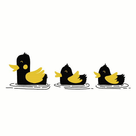 AIP_VisualStories_4.gif