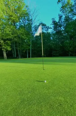golf-course-grasses.webp