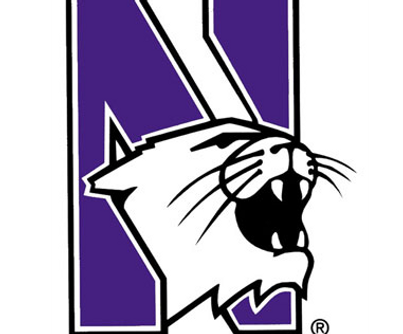 northwestern-logo_edited_edited.png