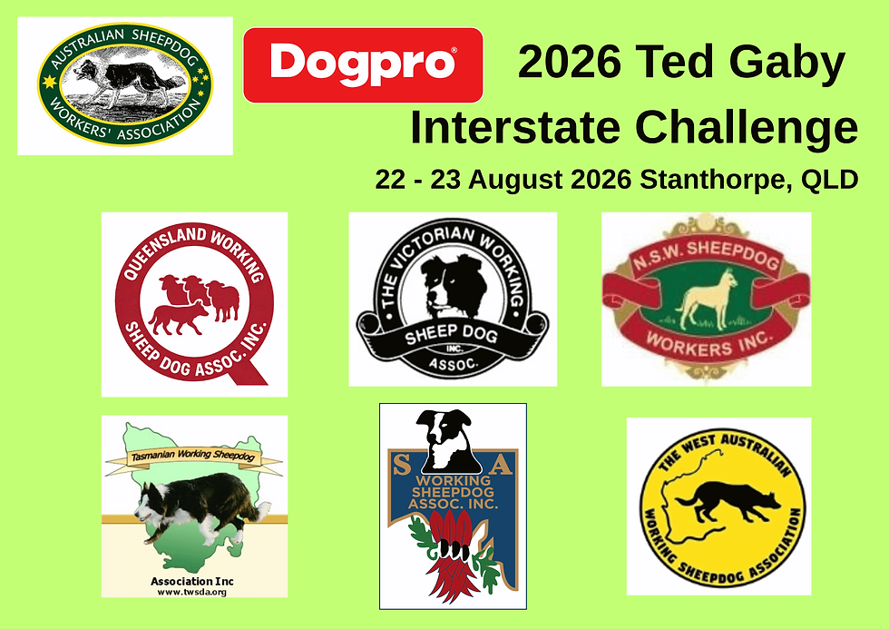 2026 Ted Gaby Interstate Challenge