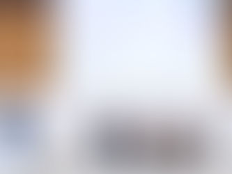 AFSIC Growth Panel - Leapfrogging- When will the Electricity Grid become Obsolete in Africa?