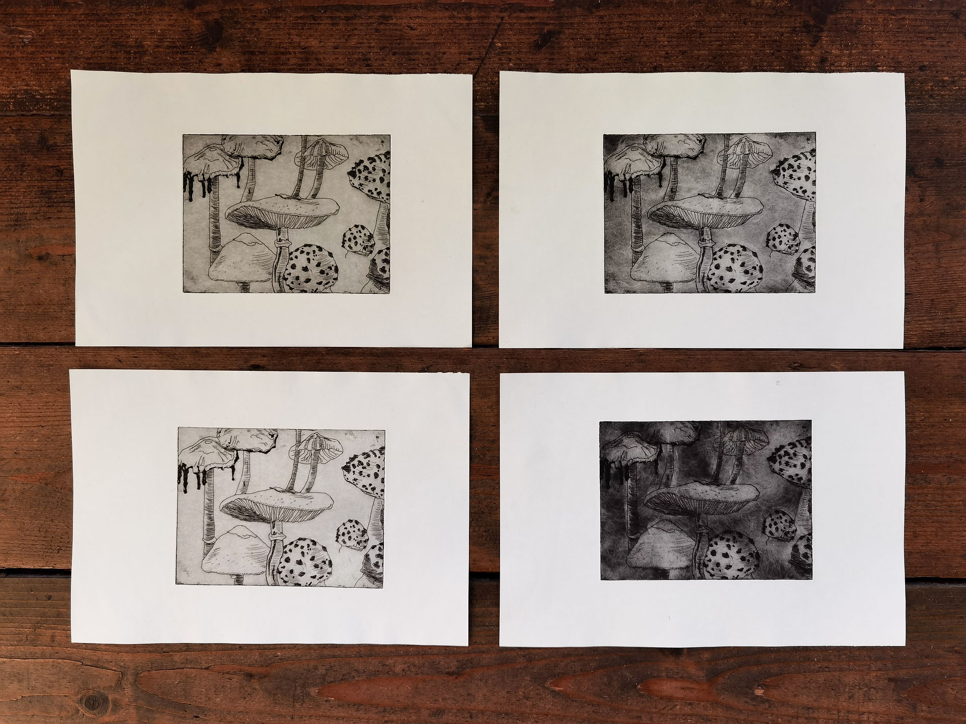 Mushroom Etchings