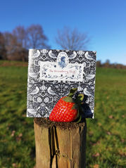 The Strawberry Thief. William Morris. Pattern Design. Zine. Picture book. Children's Illustration. Bristol Illustrator. Watercolour. Storytelling. Kids lit. History. Kids Books