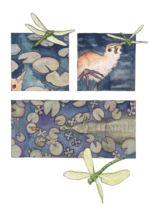 Comic, 3 panel narrative, stroytelling, nature art, wildlife artivism, bristol illustrator, Jacana Bird, funny art