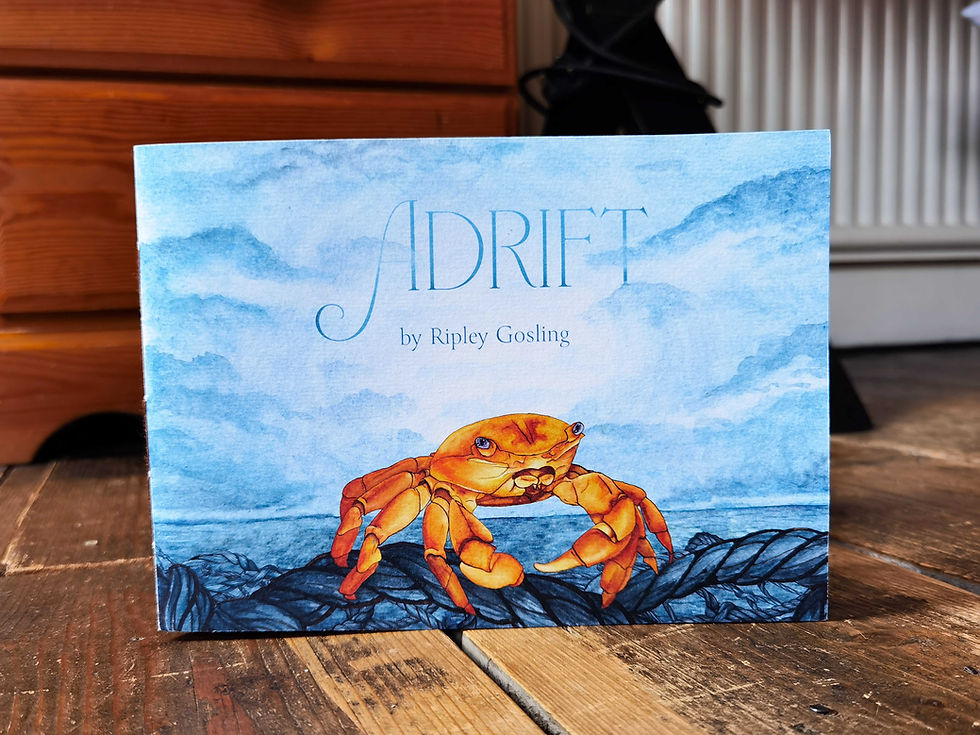 Thumbnail: Watercolour painted childrens picture book about a crab stuck in ghost fishing net. wildlife artivism. handmade artists book. bristol  illustrator