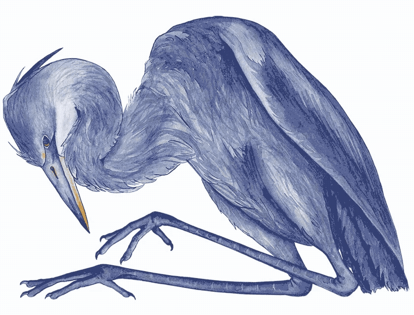 Inside a ‘living lab’ Guardian Article