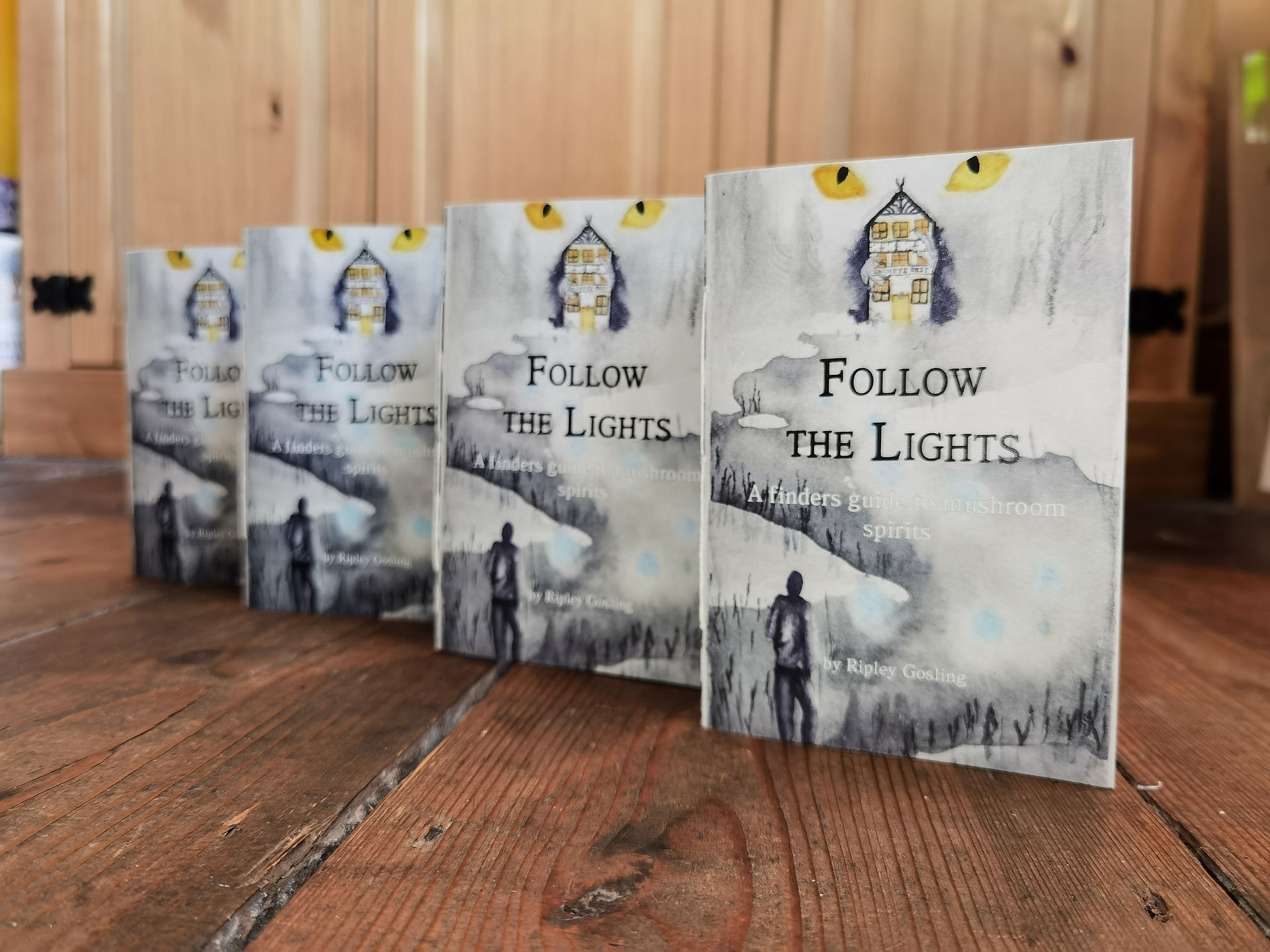 Follow the Lights Zine