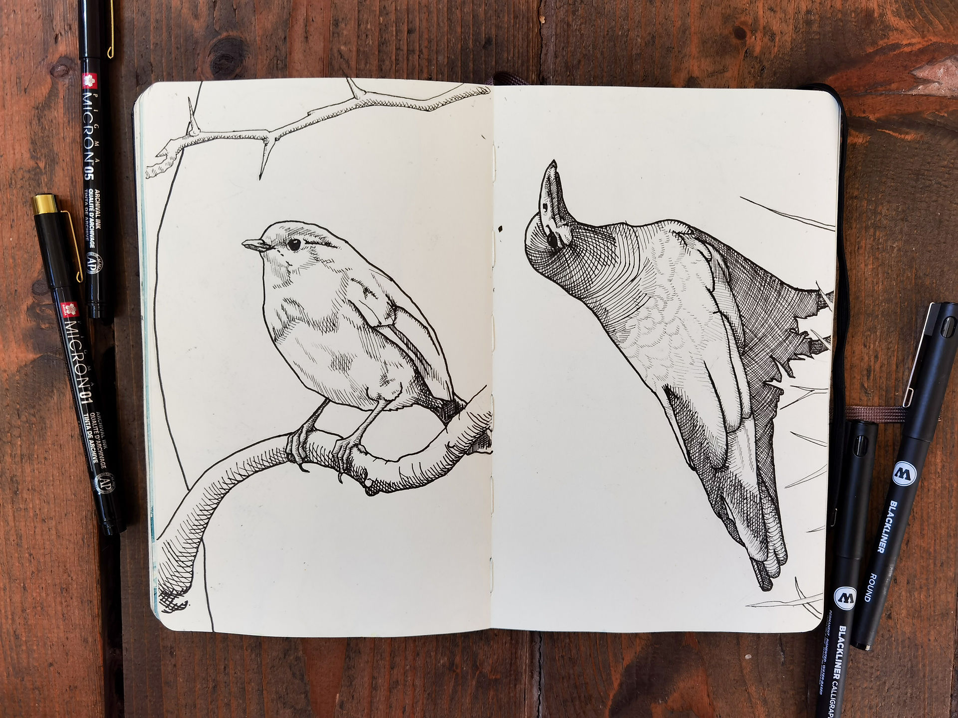 nature sketches