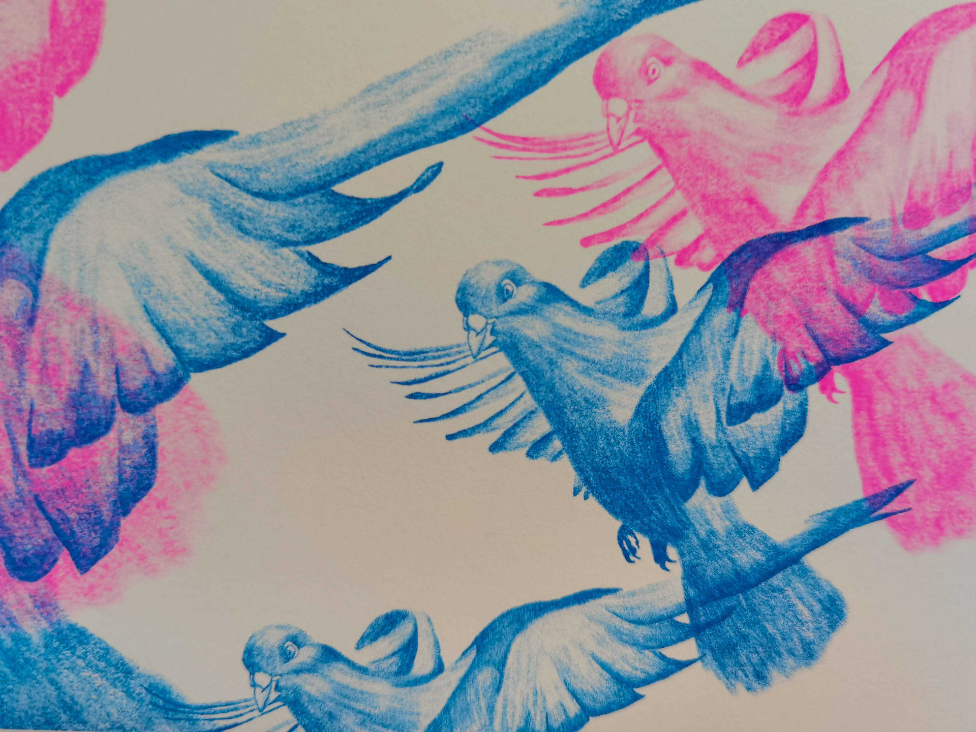 Riso Printed Posters