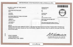 eye Cert