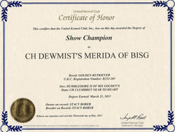 Merida UKC CH title