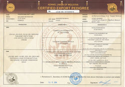 Jazmine Pedigree 1