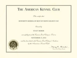 Merida CGC 1