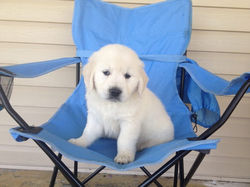 10300047_10202488082337104_2144297585904