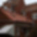 Renovatiewerken dak