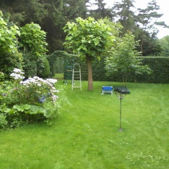 Travaux de jardin Laurent De Meyer