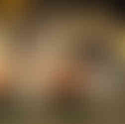 Afbraak brug E313 Geel