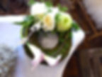 Hollaert Tuincentrum