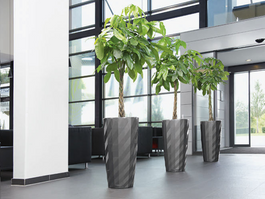 aménagement floral et végétal